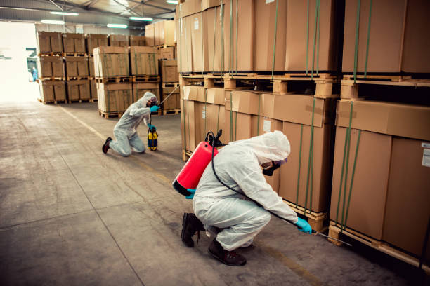 Best Pest Control Near Me  in Denair, CA