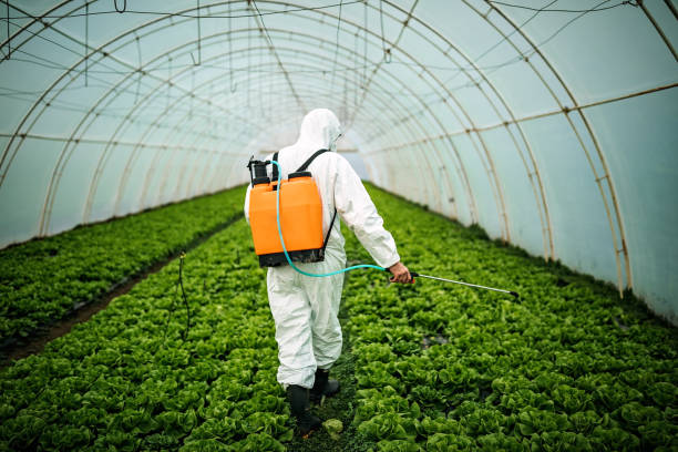 Best Affordable Pest Control Services  in Denair, CA