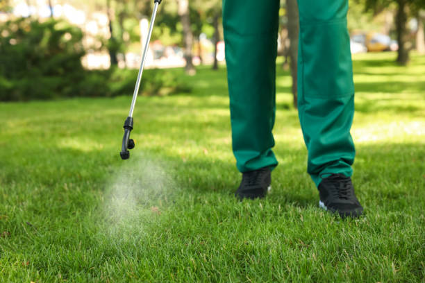 Pest Control for Restaurants in Denair, CA