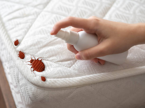 Best Pest Control for Restaurants  in Denair, CA